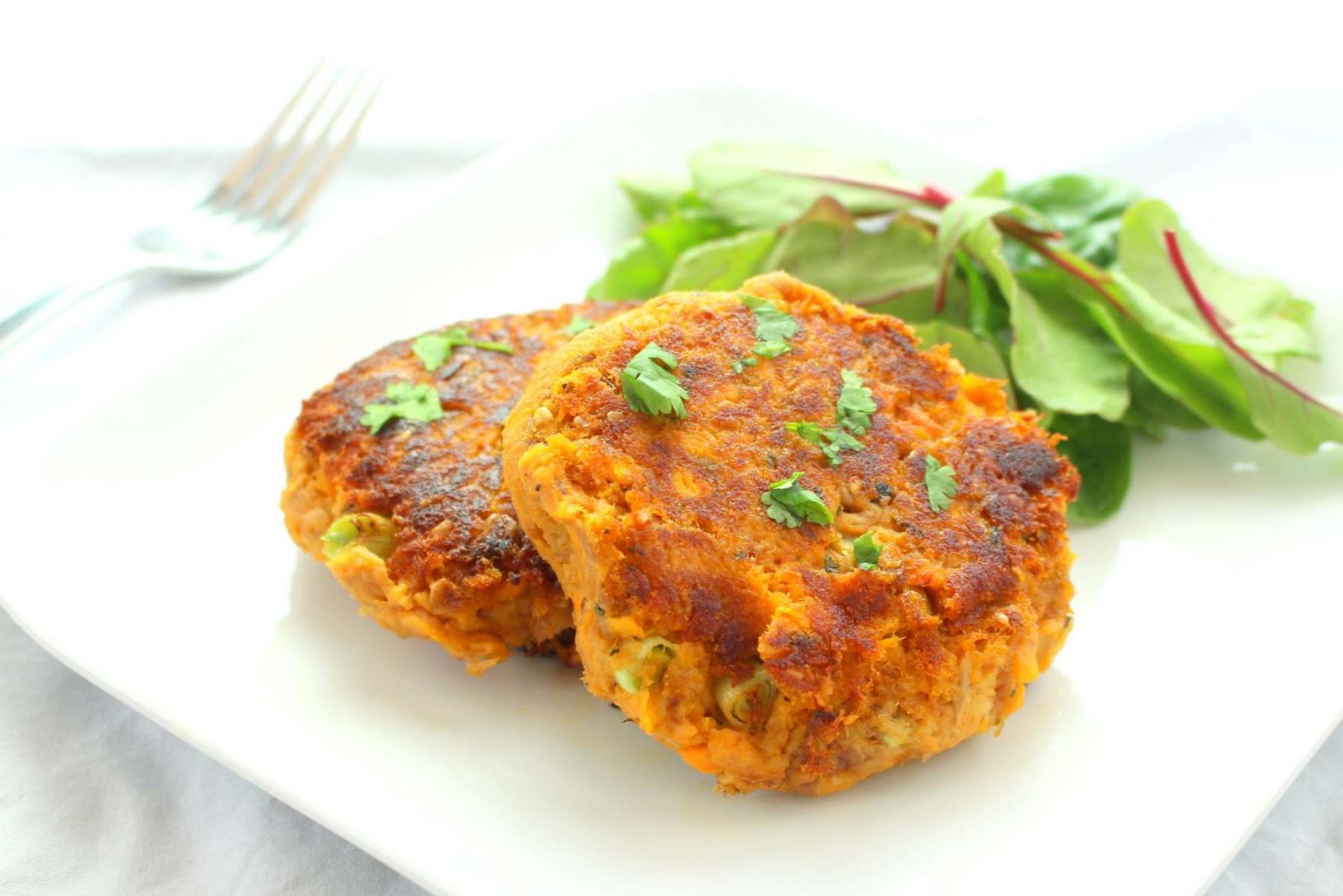 Watch Fish Cakes Recipe By Chef Pankaj Bhadouria